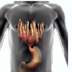 Dr. Aravind's Homeopathic Center Trivandrum